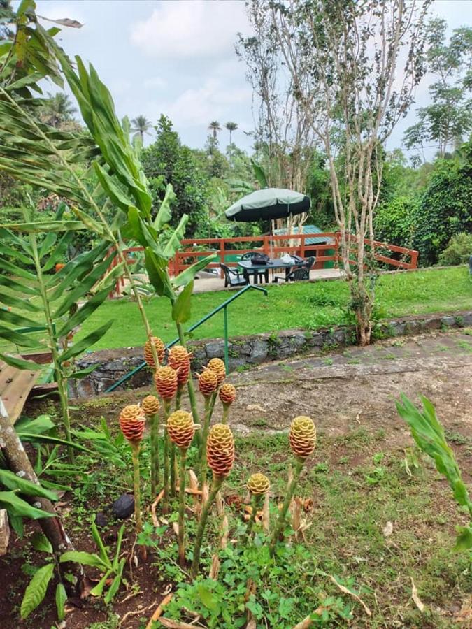 Guest House Quinta Natural Bangalots Graca Exterior photo