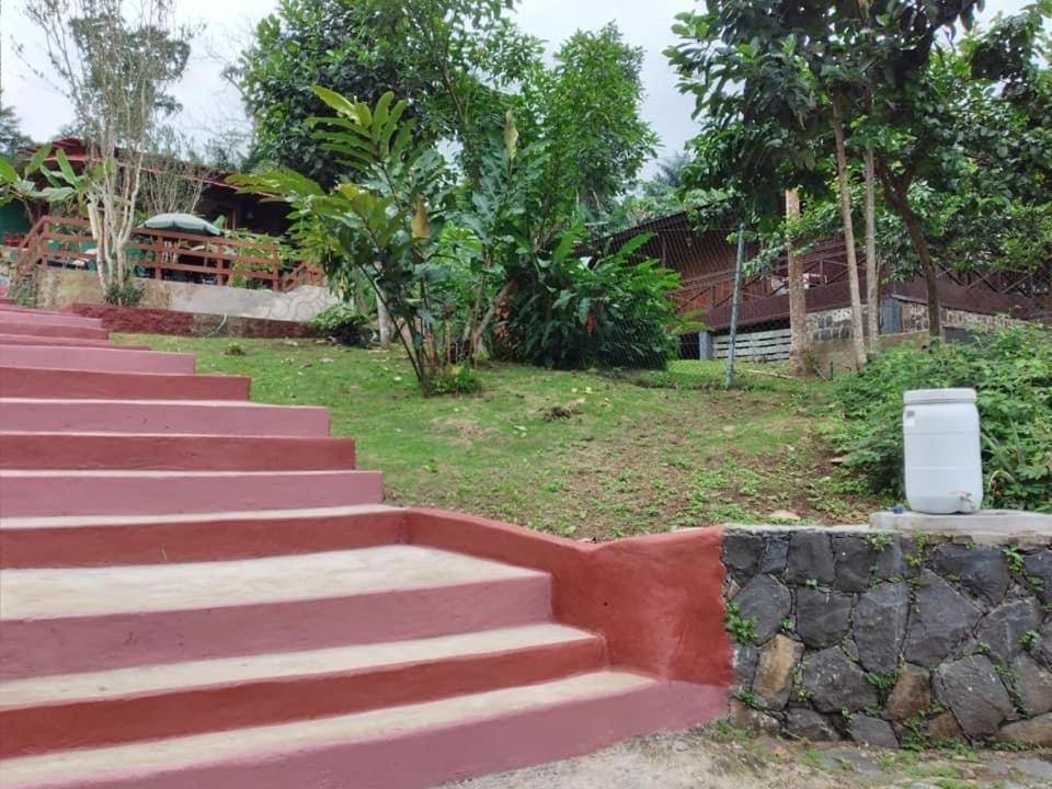 Guest House Quinta Natural Bangalots Graca Exterior photo