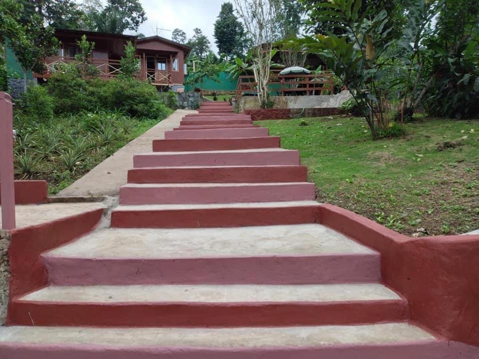 Guest House Quinta Natural Bangalots Graca Exterior photo
