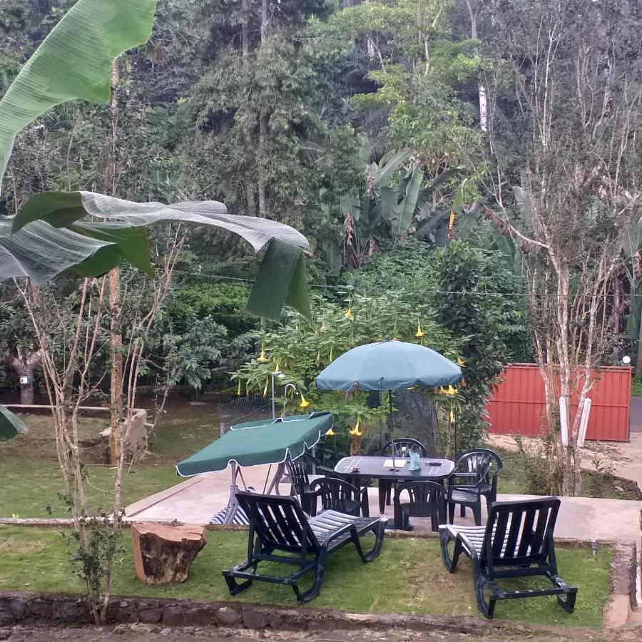 Guest House Quinta Natural Bangalots Graca Exterior photo