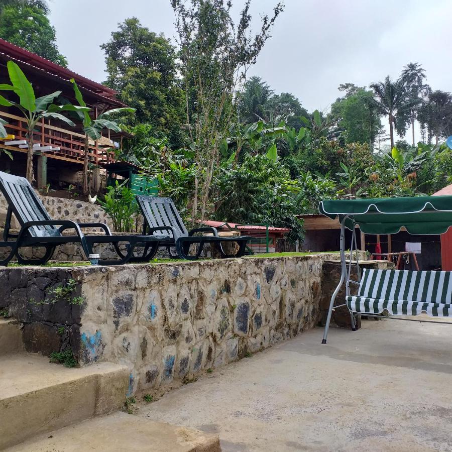 Guest House Quinta Natural Bangalots Graca Exterior photo