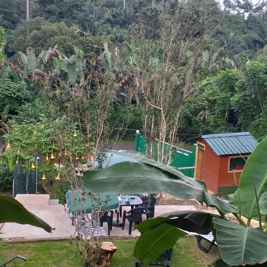 Guest House Quinta Natural Bangalots Graca Exterior photo