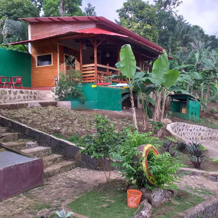 Guest House Quinta Natural Bangalots Graca Exterior photo