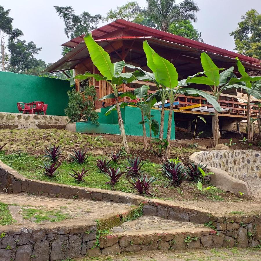 Guest House Quinta Natural Bangalots Graca Exterior photo